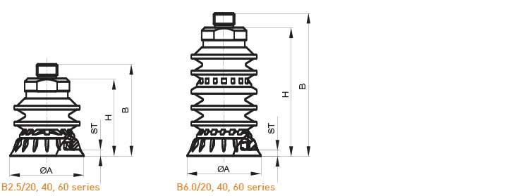 B2.5,  B6.0 series